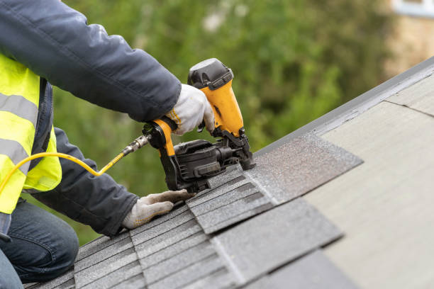 Best Roof Insulation Installation  in Shoshone, ID