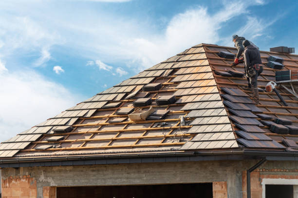 Best Gutter Replacement  in Shoshone, ID