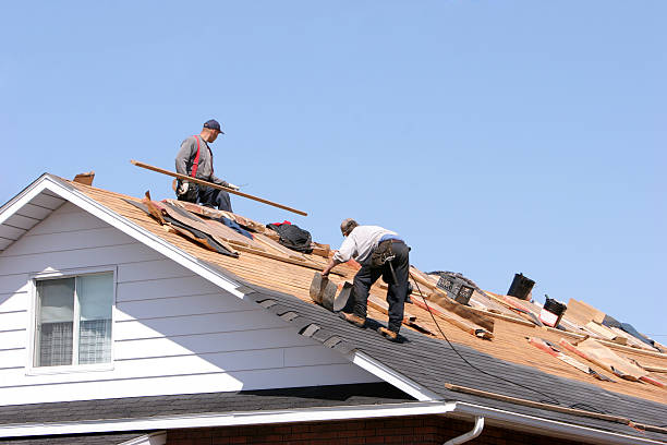 Best Solar Panel Roofing Installation  in Shoshone, ID